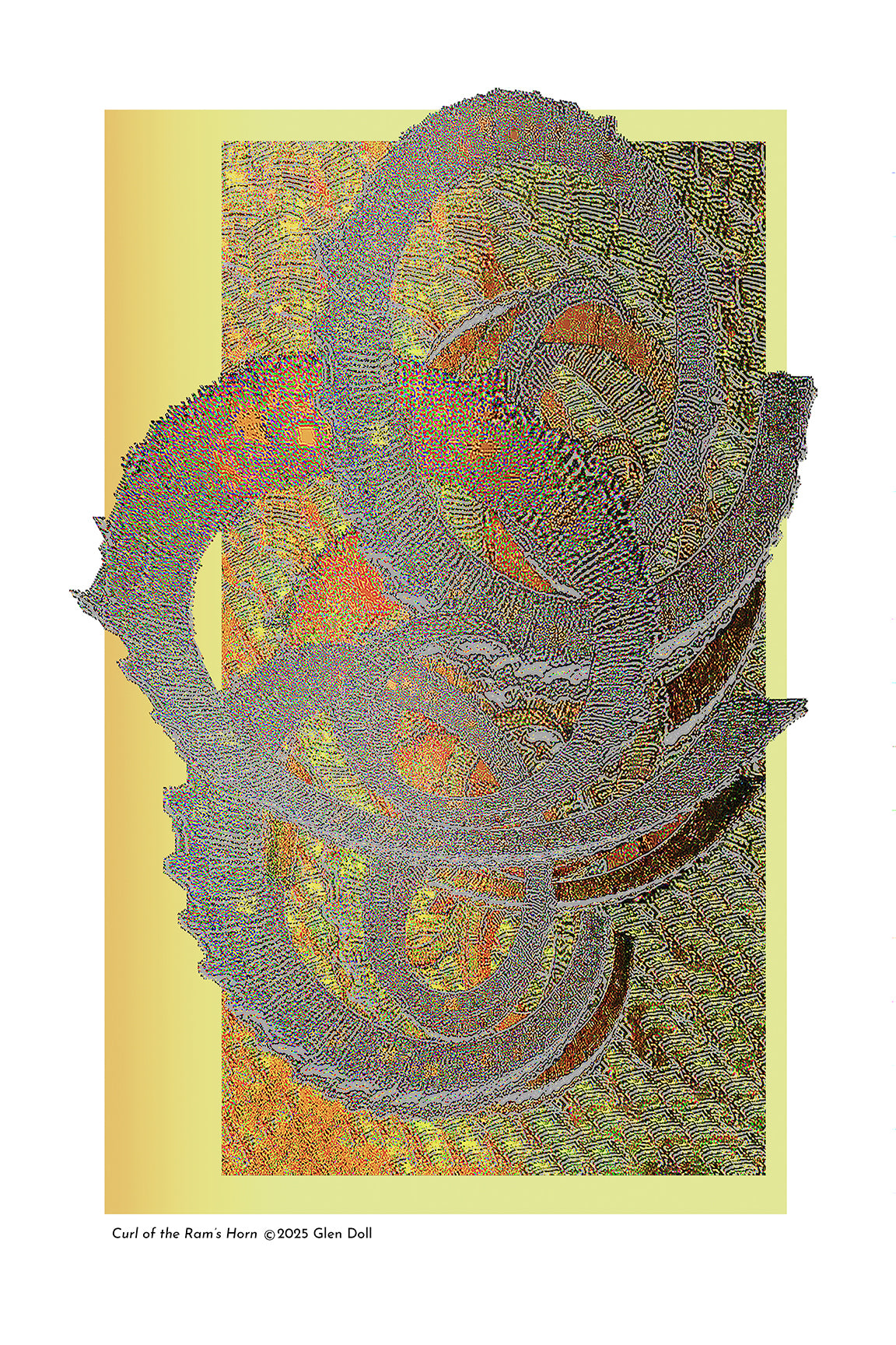 Curl of the Ram's Horn