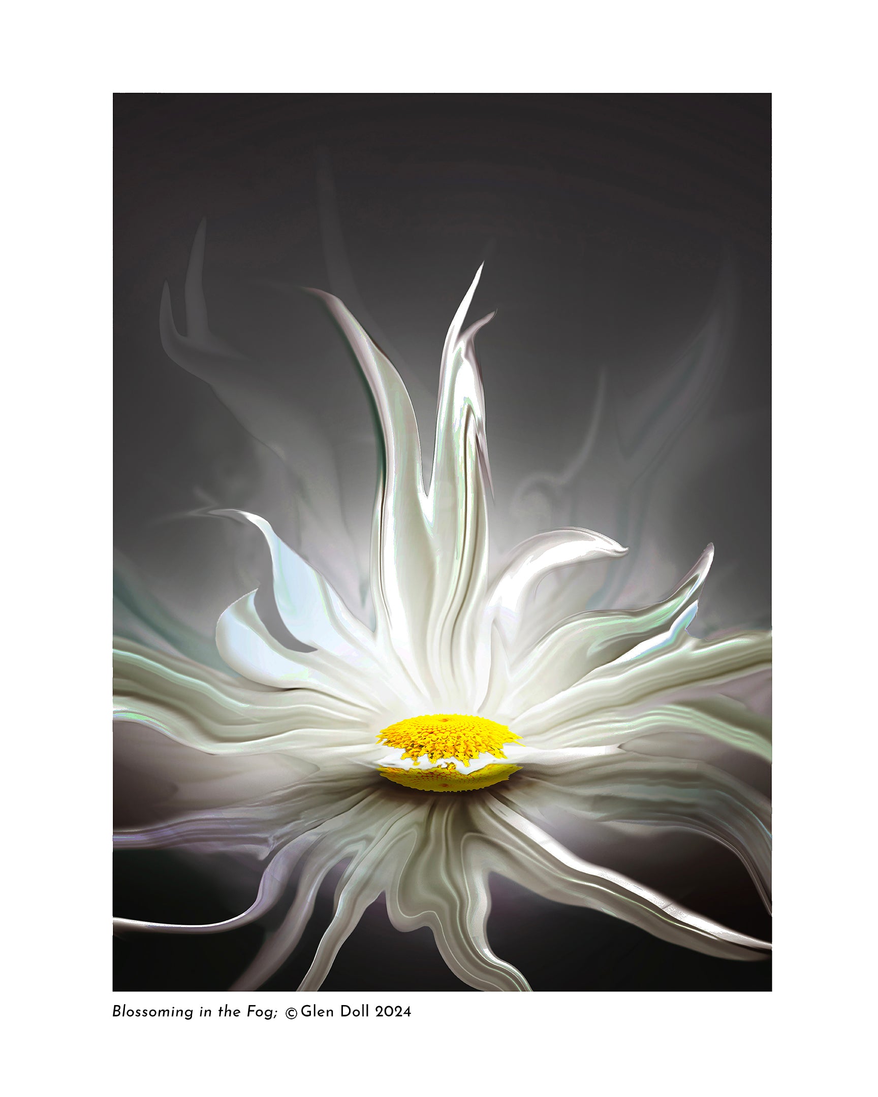 Blossoming in the Fog